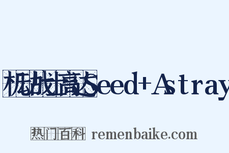 机动战士高达Seed+Astray是什么意思的图片
